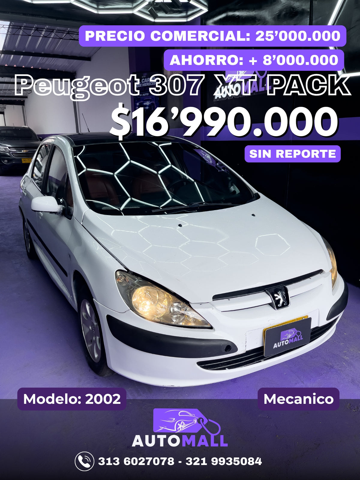 Peugeot 307 XT PACK 2002