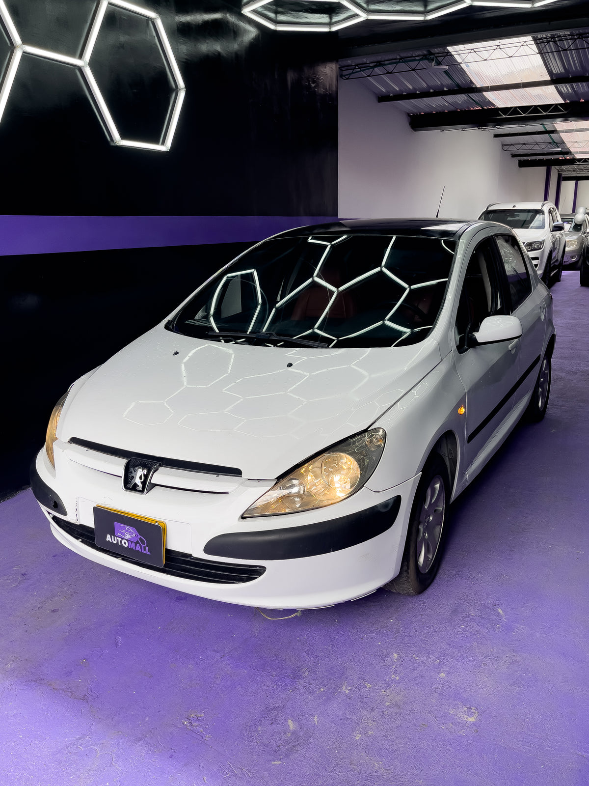 Peugeot 307 XT PACK 2002